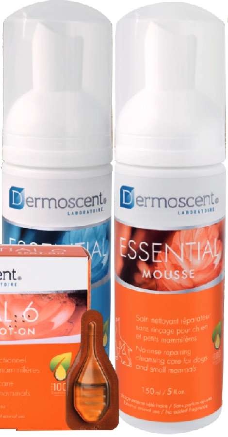 Essential Mousse