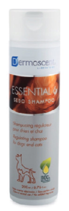 Essential 6® Sebo Şampuan